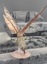 Hellwasp